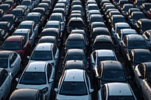 Filo Kiralamanın Avantajları